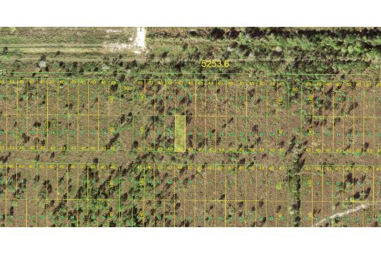 Become A Floridian! Own Land in Charlotte County! - Image 3 of 10