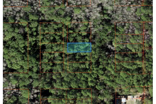 Discover Homosassa Springs in Citrus County, Florida! Adjacent to Lot 34! - Image 9 of 18