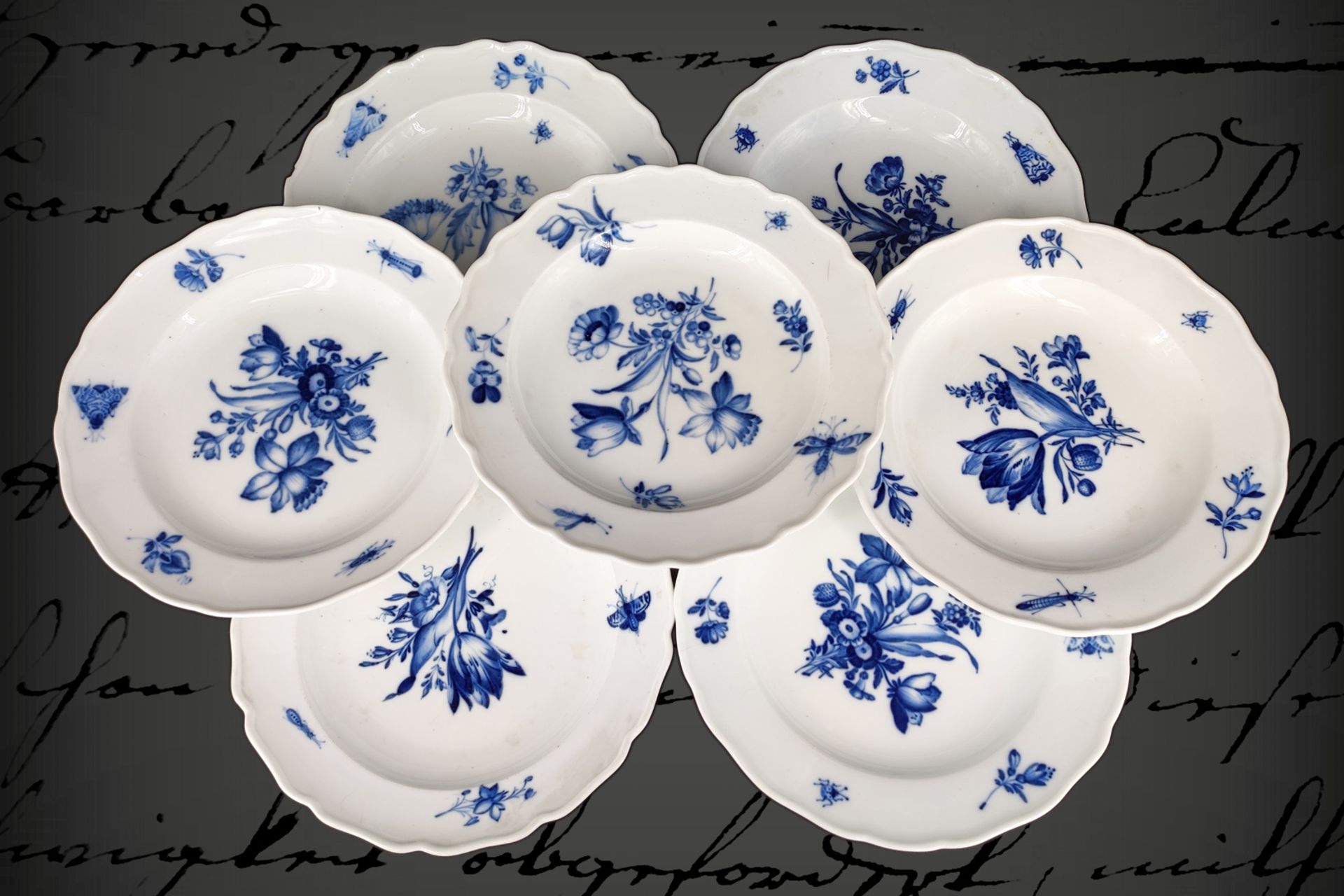 7 Meissen Teller, 19. Jh. Unterglasur blau, mit Blumen und Insekten, Durchmesser 23 cm