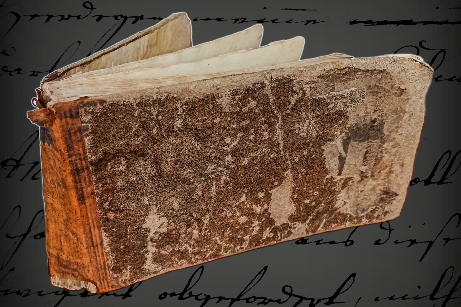 Altes Buch ”P. Ovidii Nasonis, Funffzehen Verwandlungs-Bücher, ehemals von einem berühmtem Meister
