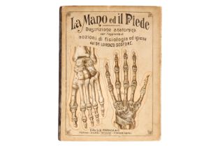 Medizinisches Buch ”La Mano ed il Piede”, italienisch, G.B. Paravia & Co., Milano, gedruckt 1900,