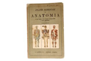 Medizinisches Buch ”Atlante elementare di anatomia”, italienisch, S. Lattes & Co., Torino, um