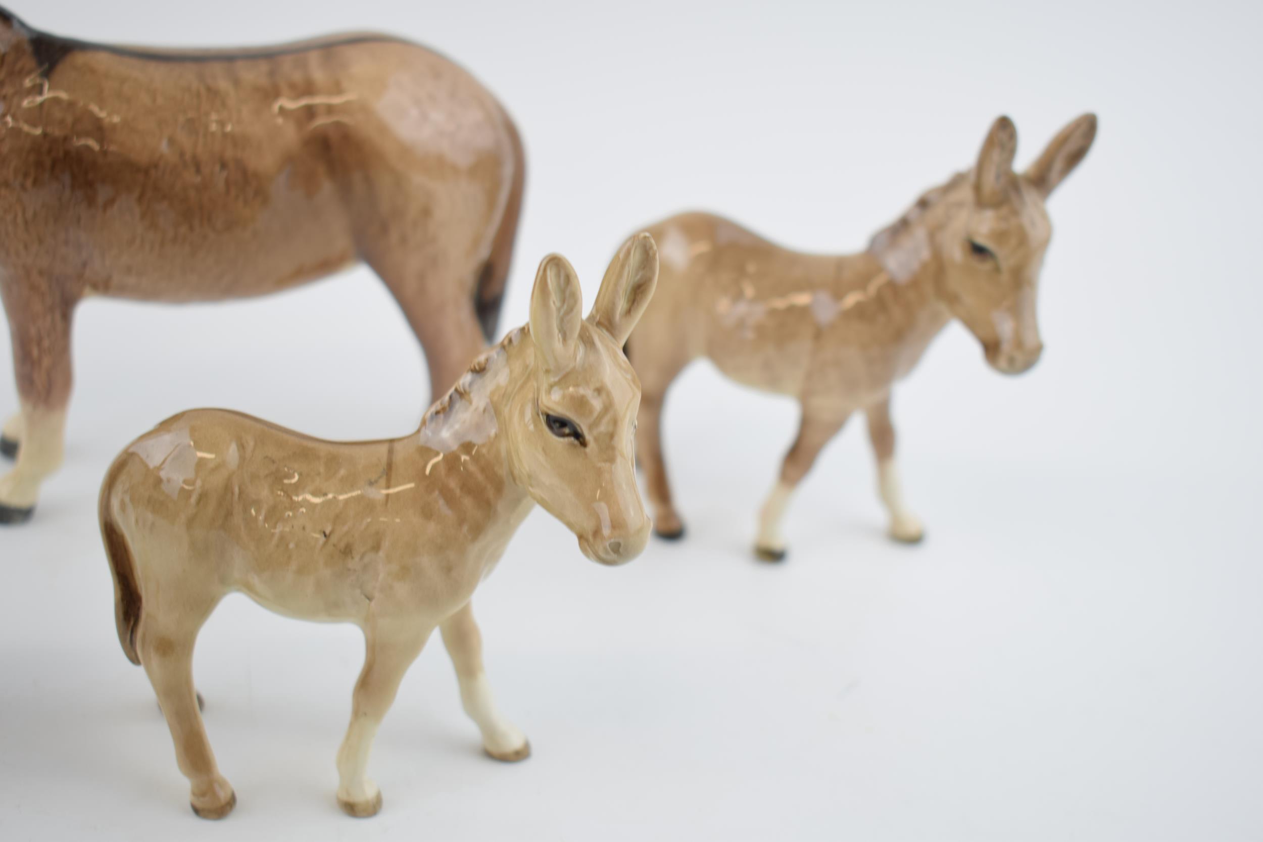 A collection of Beswick Donkeys to include a large donkey with 4 foals (5). In good condition with - Image 2 of 3