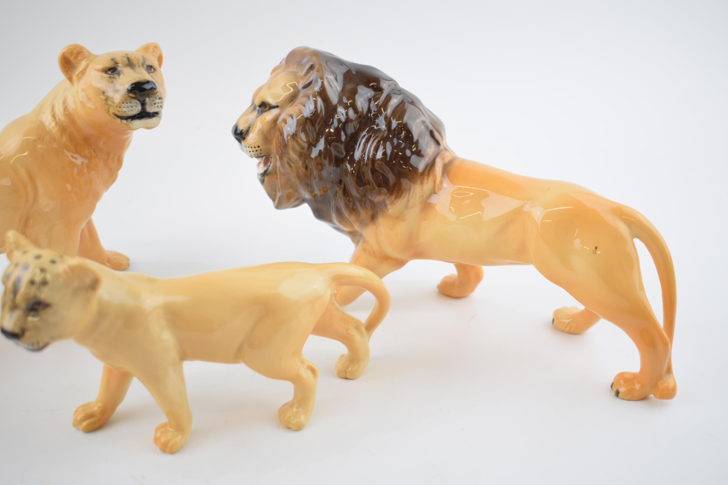 A collection of Beswick Lions to include Lion 2089, Lioness facing left 1507 and Lion cub 1508 ( - Image 2 of 3