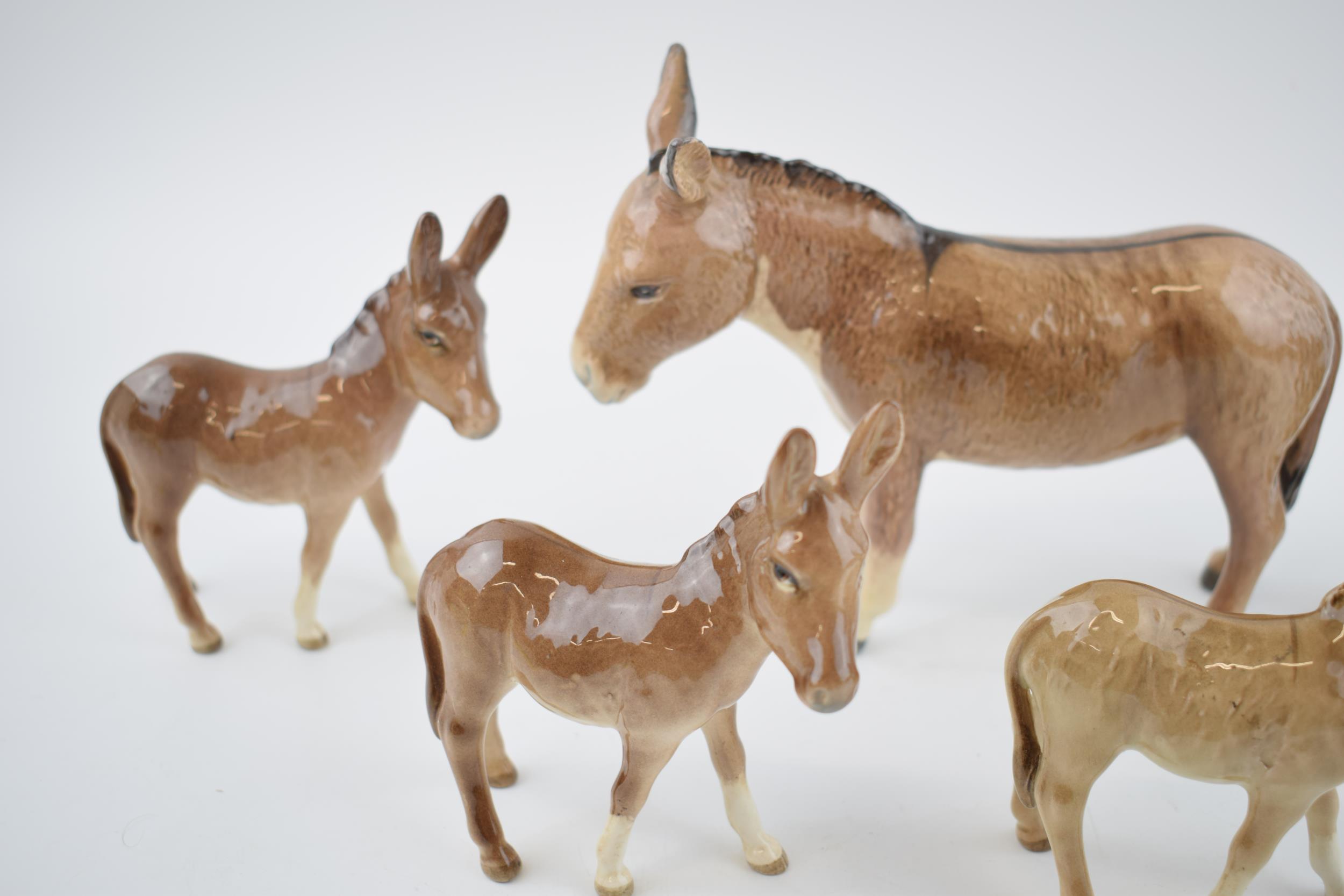A collection of Beswick Donkeys to include a large donkey with 4 foals (5). In good condition with - Image 3 of 3