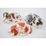 Three Royal Crown Derby Paperweights, Misty Kitten, Puppy and Scruff, all exclusive to the Royal