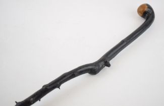 Early to mid 20th century Irish black thorn walking stick with knob handle, 91cm long.