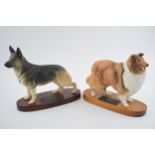 Beswick Connoisseur dogs to include Rough Collie and Alsatian (2), on bases. In good condition