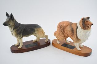 Beswick Connoisseur dogs to include Rough Collie and Alsatian (2), on bases. In good condition