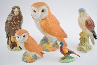 Beswick birds to include matt small and large barn owls, a kestrel (af), a pheasant and a buzzard