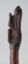 Traditional hand crafted walking stick, horn handled, in the form of a lying hare, ash (or