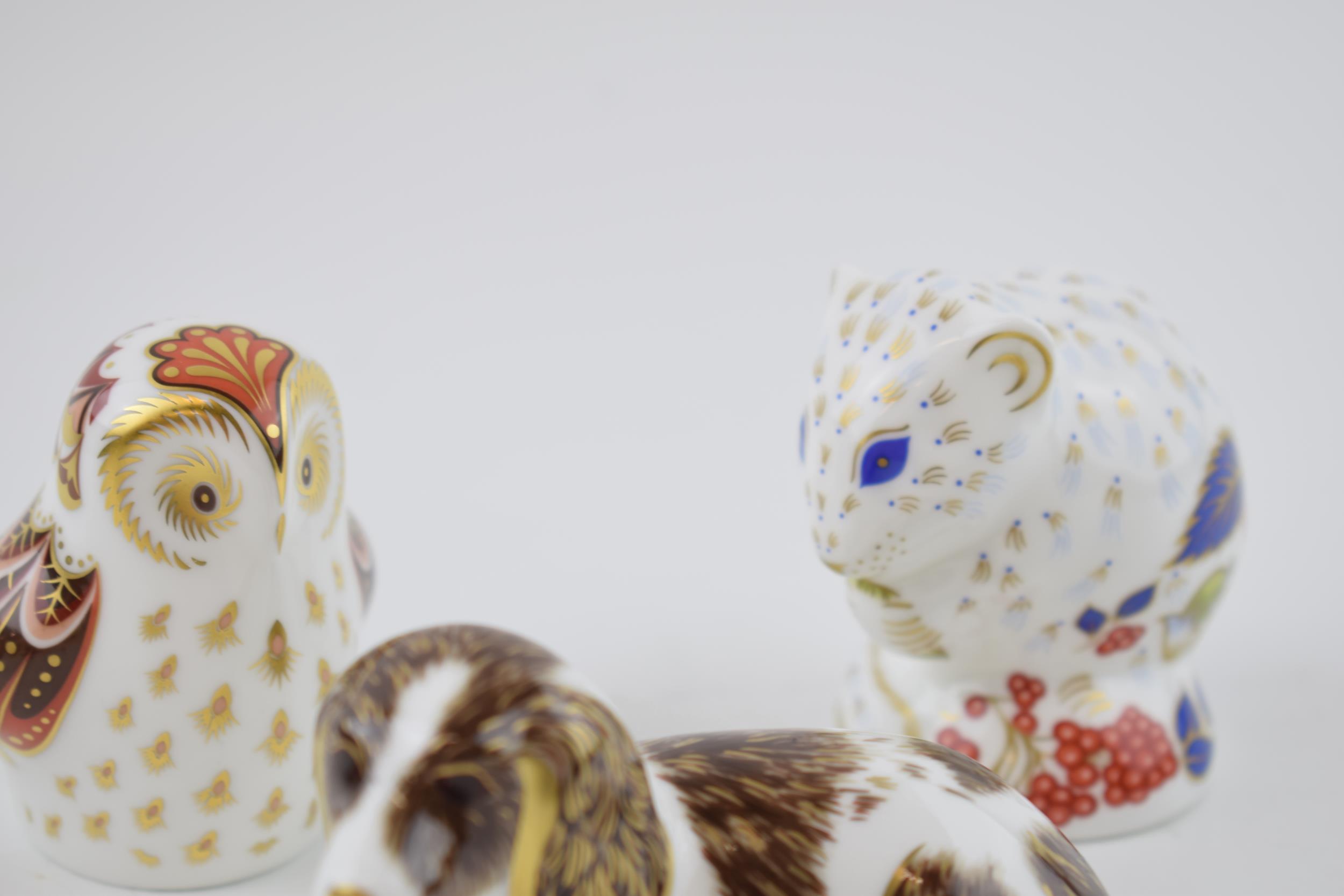 Boxed Royal Crown Derby paperweights to include an Owlet, Scruff the Puppy and a Derby Dormouse, - Image 3 of 4