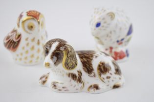 Boxed Royal Crown Derby paperweights to include an Owlet, Scruff the Puppy and a Derby Dormouse,