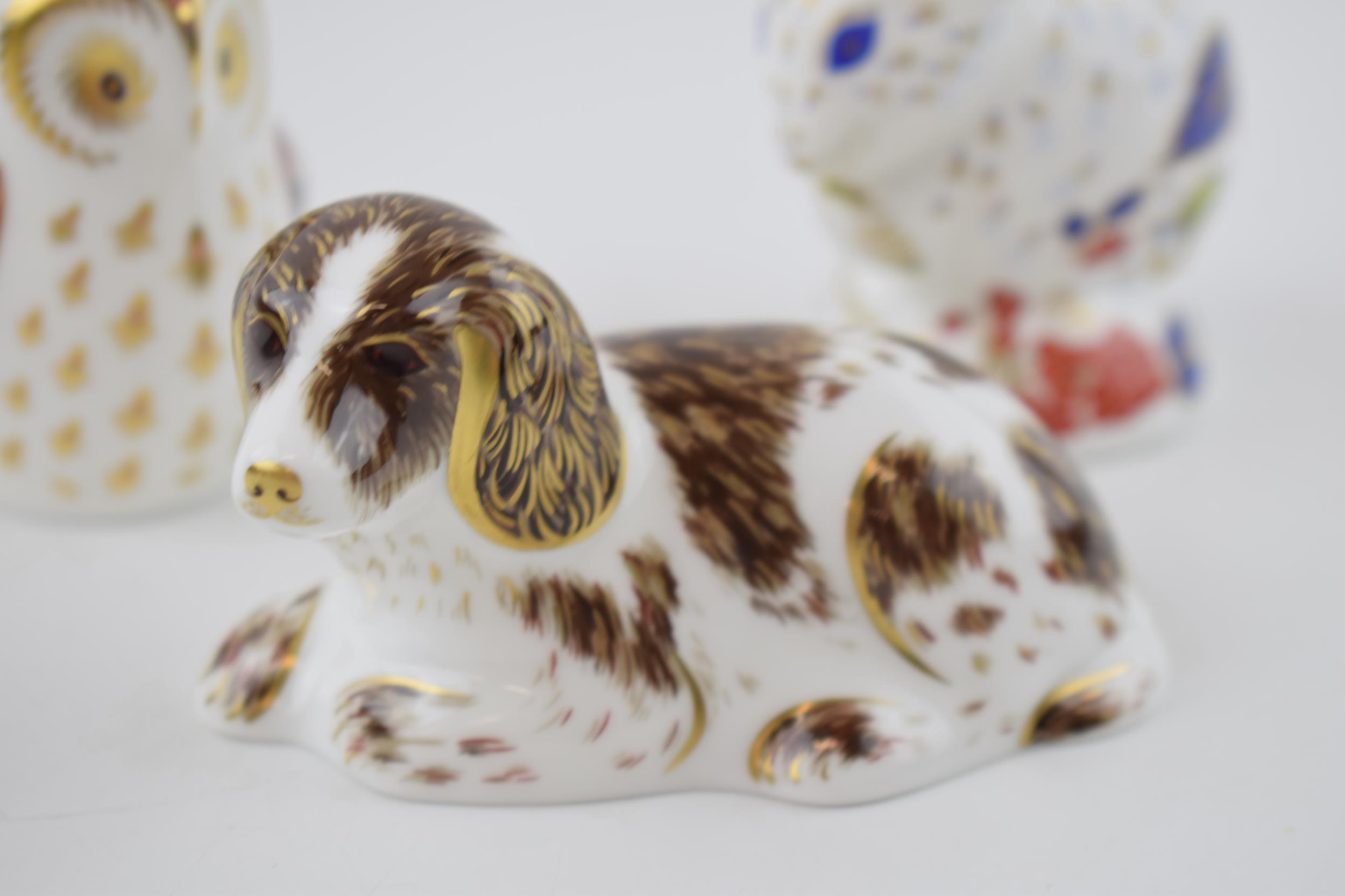 Boxed Royal Crown Derby paperweights to include an Owlet, Scruff the Puppy and a Derby Dormouse, - Image 2 of 4