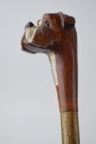 Traditional hand crafted walking stick, wooden handled, in the form of a dog's head, ash (or