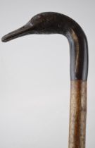 Traditional hand crafted walking stick, horn handled, in the form of a duck's head, ash (or similar)