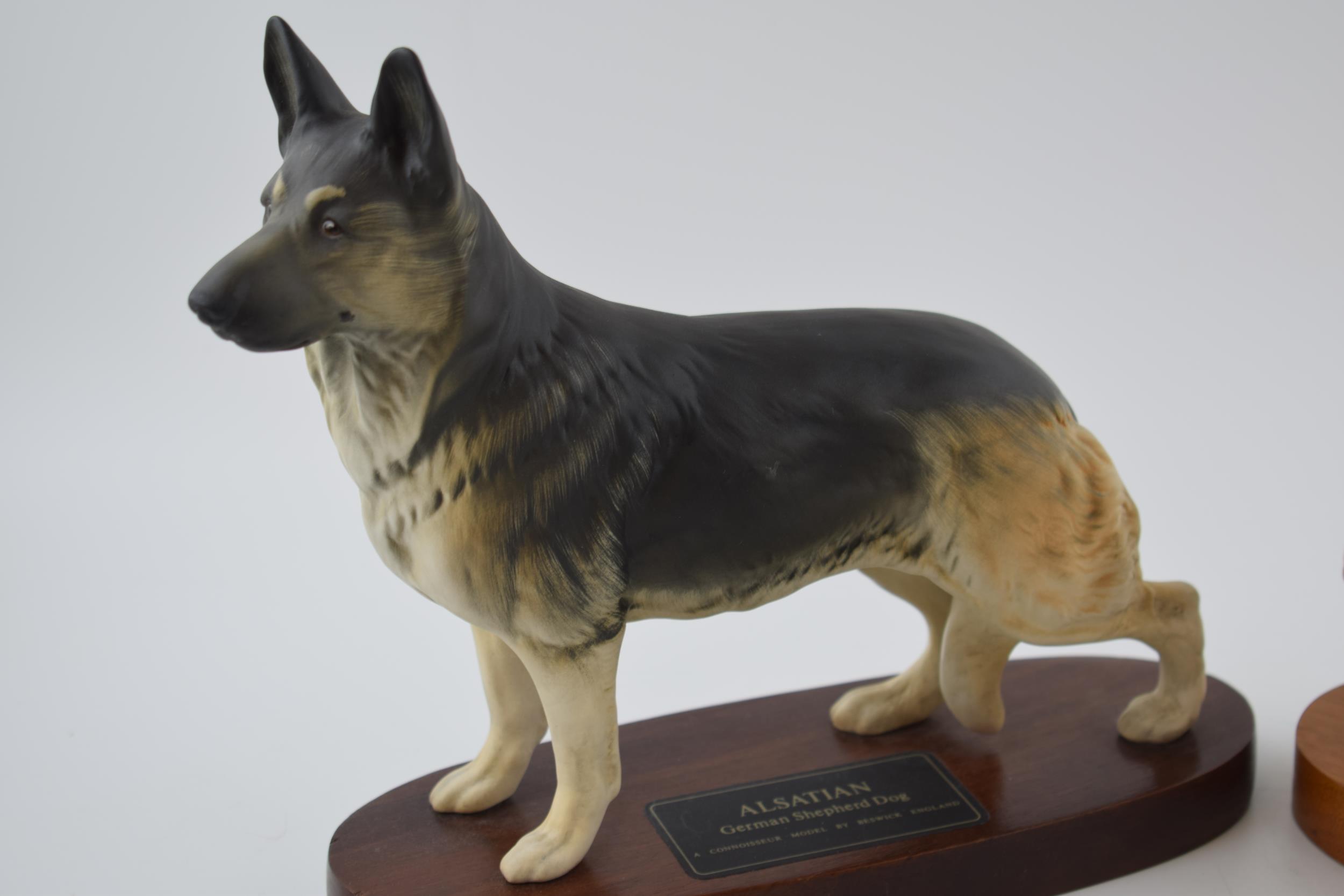 Beswick Connoisseur dogs to include Rough Collie and Alsatian (2), on bases. In good condition - Image 3 of 3