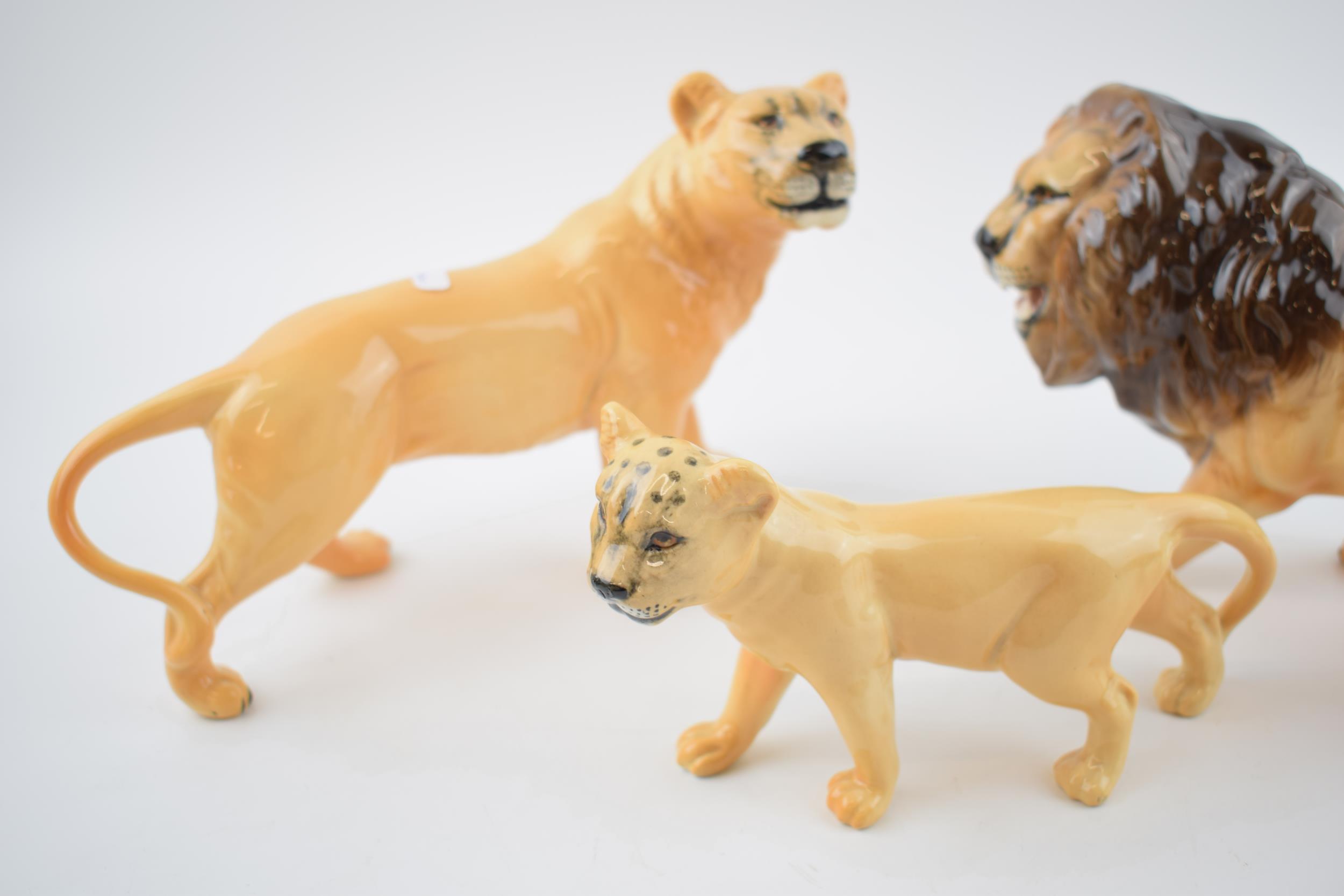 A collection of Beswick Lions to include Lion 2089, Lioness facing left 1507 and Lion cub 1508 ( - Image 3 of 3