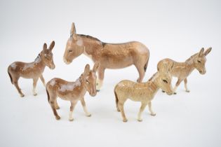 A collection of Beswick Donkeys to include a large donkey with 4 foals (5). In good condition with