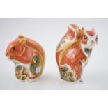 Two Royal Crown Derby paperweights, Woodland Squirrel, 10cm high and a Red Squirrel, with date