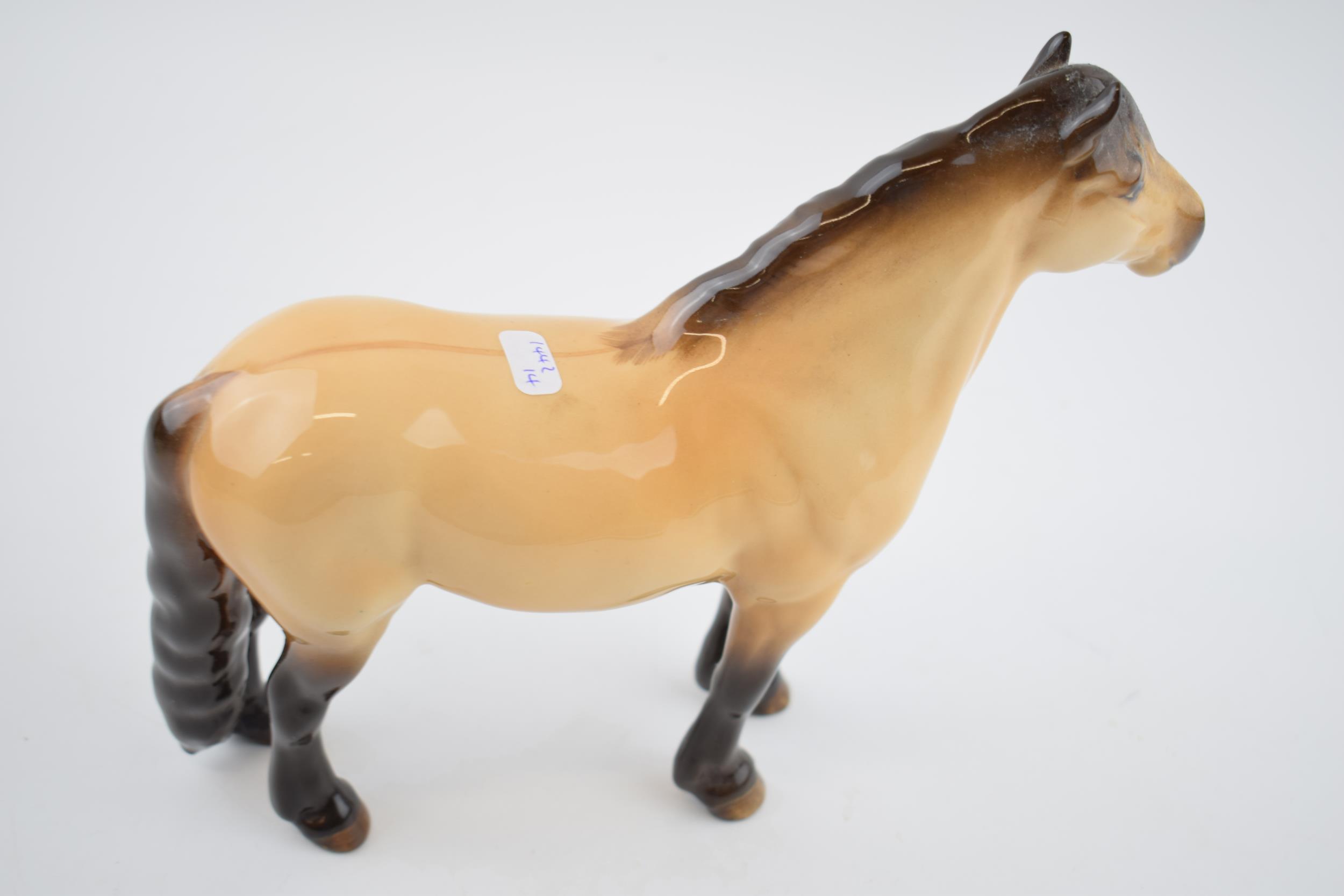 Beswick Dunn Highland Pony 1644. In good condition with no obvious damage or restoration. - Image 2 of 3