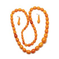 A graduated set of butterscotch amber (or similar) beads, as a necklace, with a matching pair of