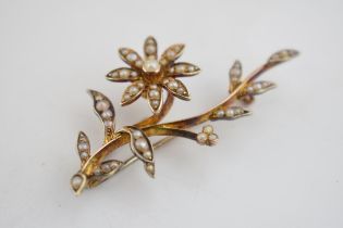 9ct gold floral brooch, set with seed pearls, 5.7 grams, 5cm long.