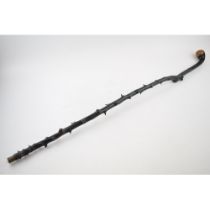 Early to mid 20th century Irish black thorn walking stick with knob handle, 91cm long.