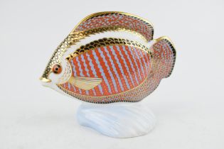 Royal Crown Derby paperweight, from the Tropical Fish Series, Tropical Fish Gourami, gold stopper