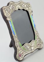 Sterling silver fronted photo frame with Art Nouveau inspired decoration, easel back,