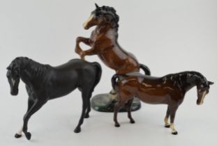 Beswick rearing horse 1014 (restored tail) with a Black Beauty and a mare facing right (3). In