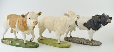 Sherratt & Simpson Hand-painted 57325 Belgian Blue, 57316 Charolais Bull together with 57318