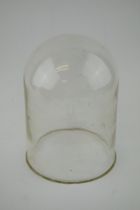 Antique glass dome c19th century. Height 23cm diameter 16cm. Ideal for taxidermy / display.