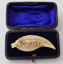 A vintage brooch in antique jewellery box. Mother of pearl leaf design with yellow coloured metal