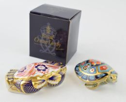 A Royal Crown Derby paperweight, Crab, 12cm wide, decorated with sea anemones and seaweed fronds,