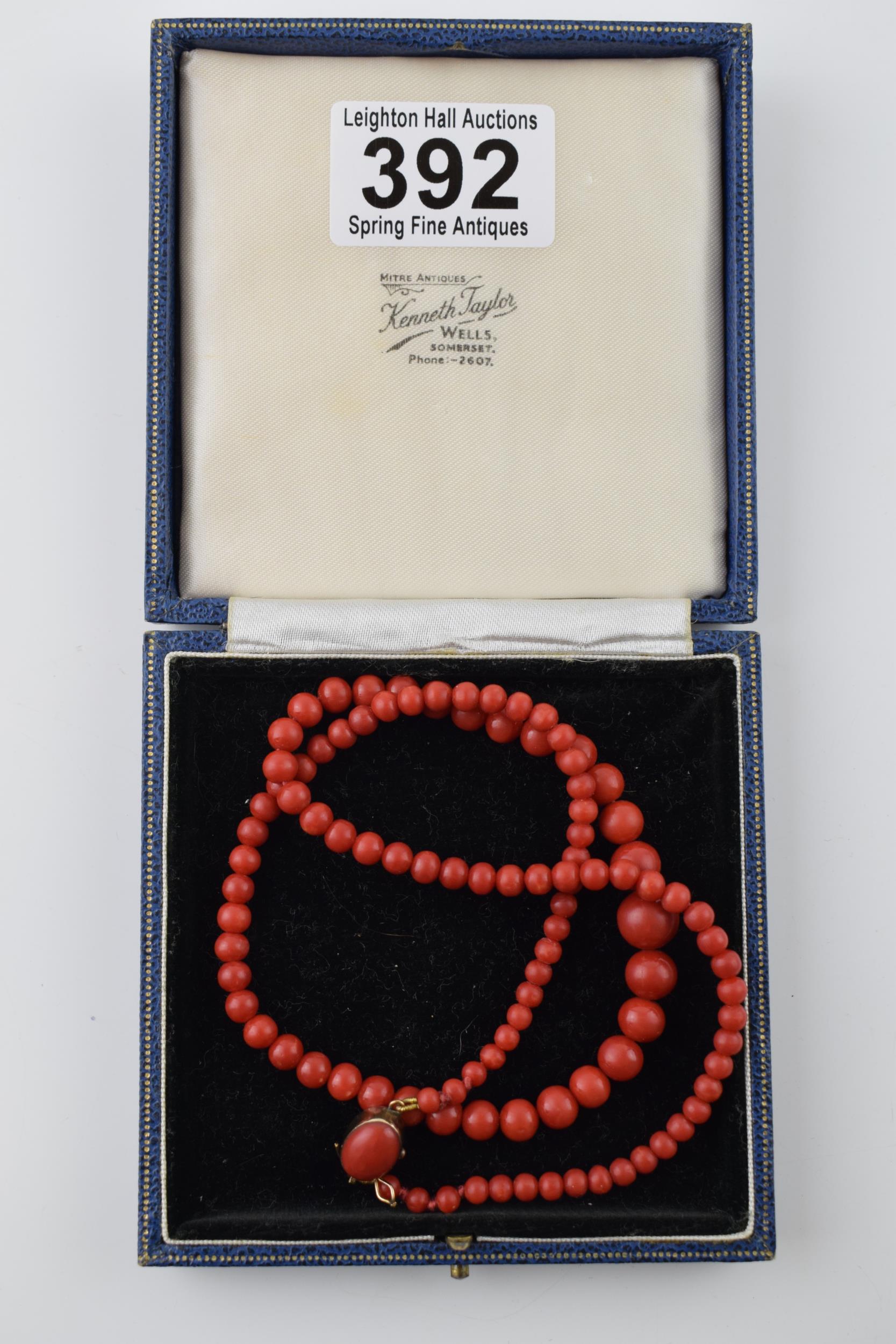 A quality set of untreated Sardinian coral graduated beads, presented as a necklace on an 18ct - Image 2 of 4