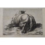 Antique print of a horse, 'F. Vander Meuten, pink. et. cum privilege Regis. V.HB.f.c' 25cm x 17cm.