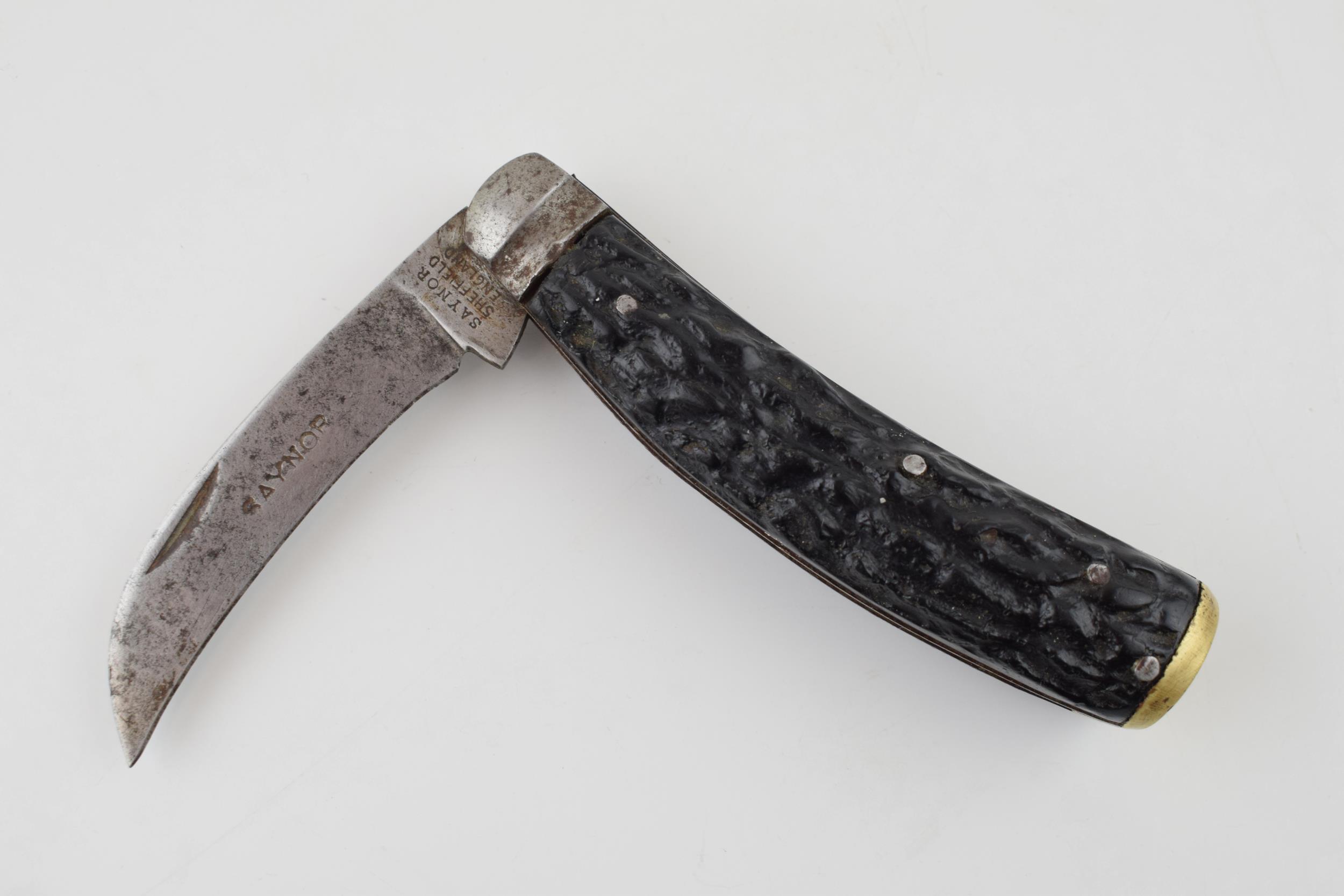 Saynor Sheffield Bone Handle Flat Cap Folding Pocket Knife Pruner c1900 10cm closed 17.5cm open - Image 2 of 7
