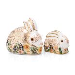 Royal Crown Derby paperweight, Rowsley Rabbit, signed in gold by Sue Rowe, boxed, and Baby Rowsley