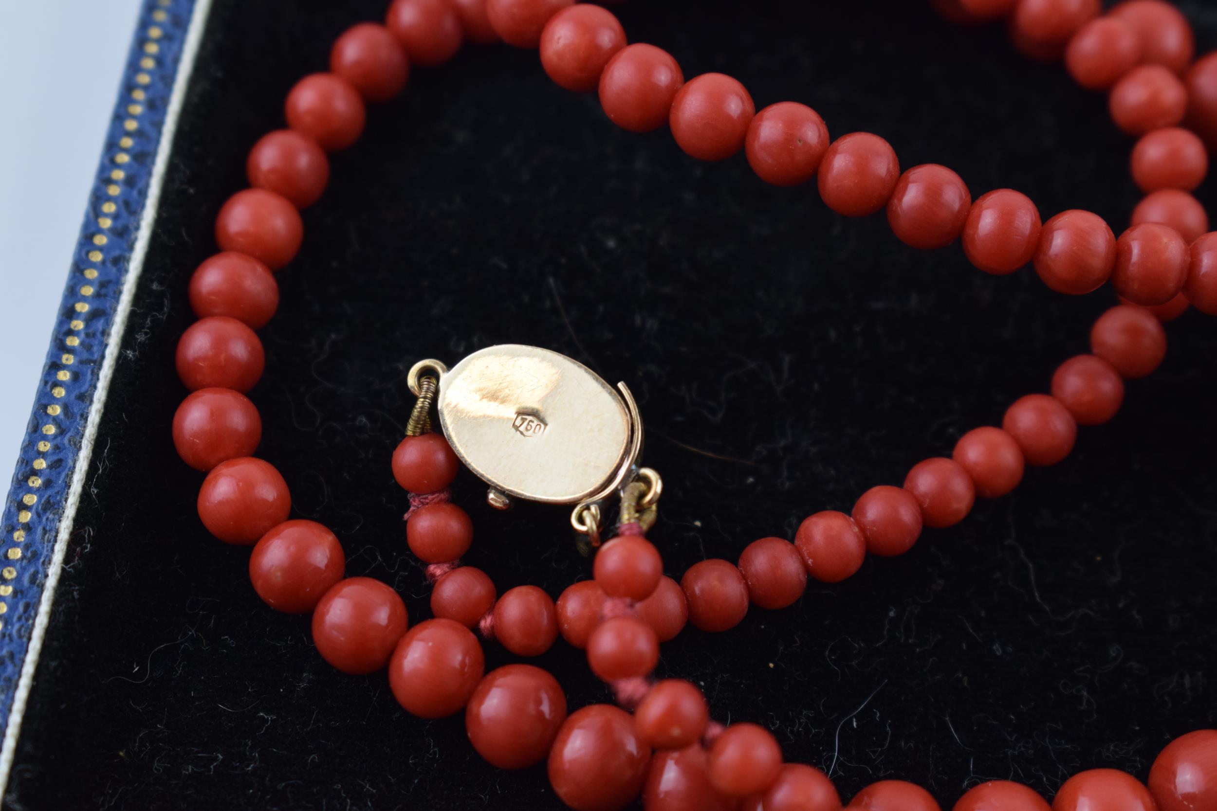 A quality set of untreated Sardinian coral graduated beads, presented as a necklace on an 18ct - Image 4 of 4