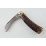 Horn handled flat bottom pruner knife, indistinguishable Sheffield maker. Brass butt, some wear