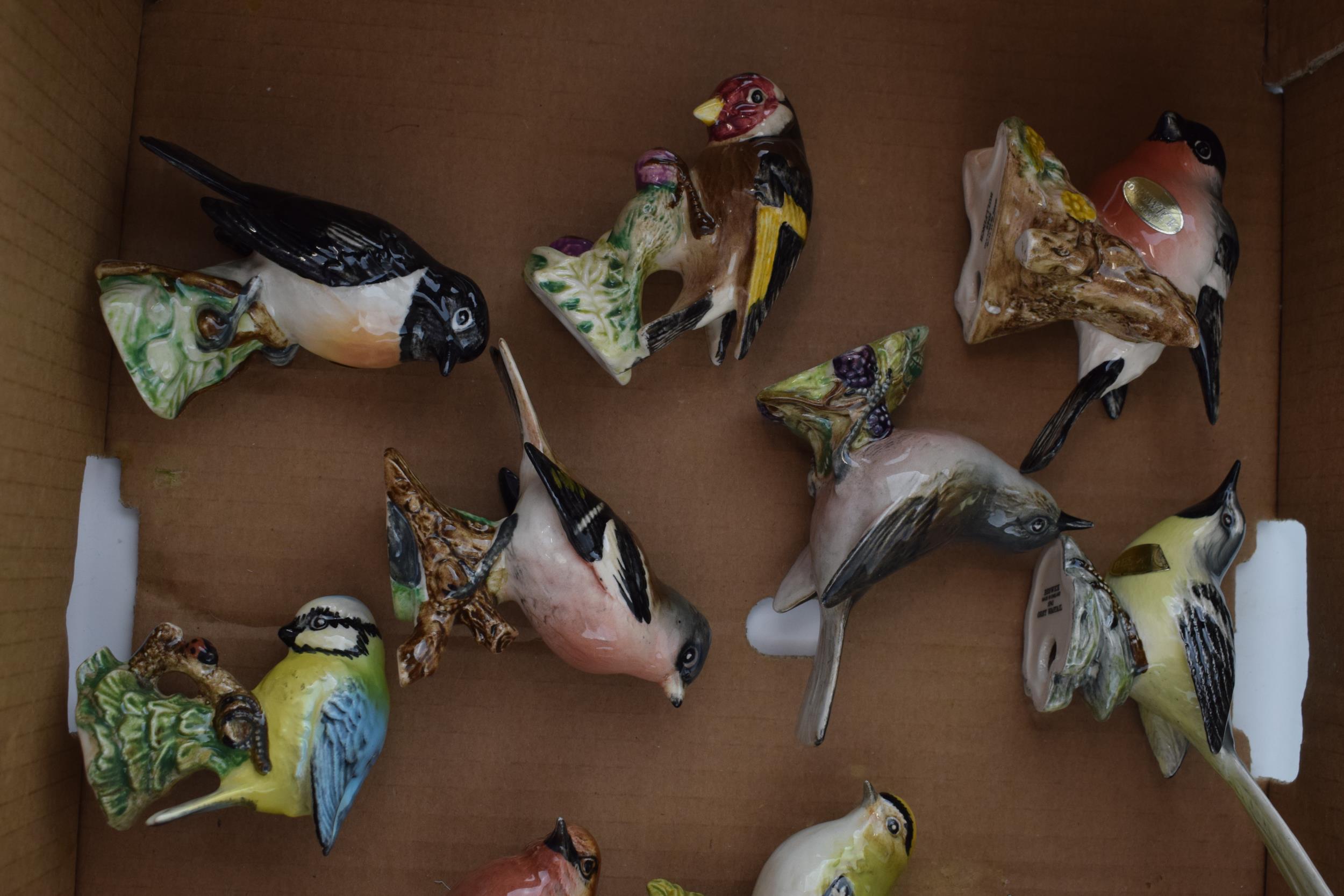 Beswick Birds to include a Nuthatch, a Goldcrest, a Robin and others (10). In good condition with no - Image 2 of 3