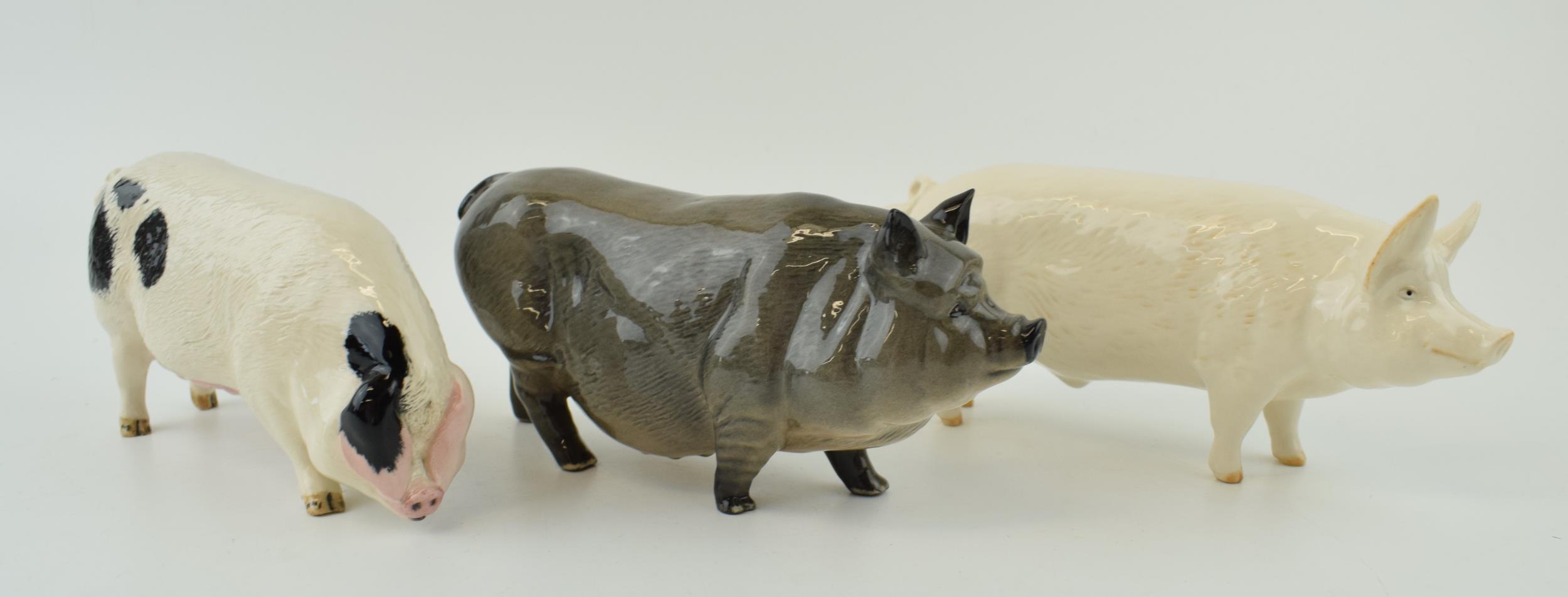 A trio of Royal Doulton pigs to include the Vietnamese Pot Bellied pig, a White Boar and a