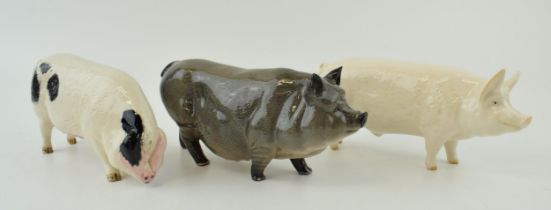 A trio of Royal Doulton pigs to include the Vietnamese Pot Bellied pig, a White Boar and a