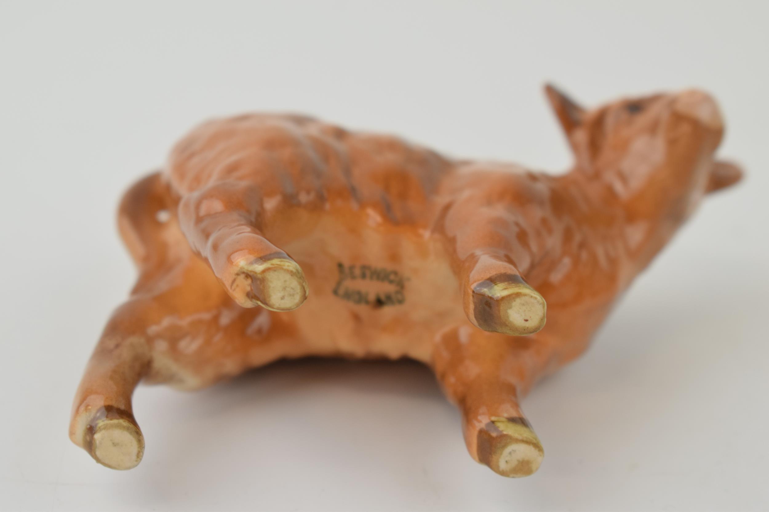 Beswick Highland Calf 1827D. In good condition with no obvious damage or restoration. - Image 2 of 2