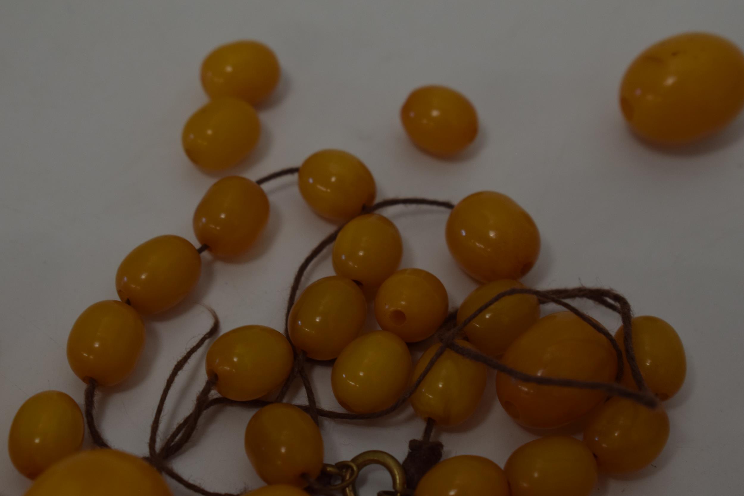 Butterscotch amber similar graduated necklace beads. Weight 84 grams. beads good but a/f have become - Image 7 of 11