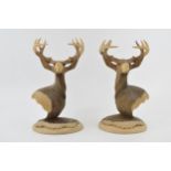 A pair of contemporary highly detailed carved softwood busts in the form of highland stags,