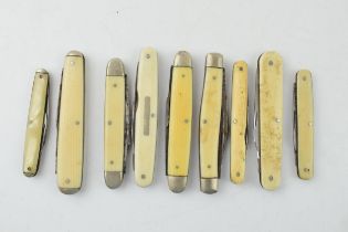 A collection of antique and vintage bone and celluloid handled pocket knives to include Sheffield