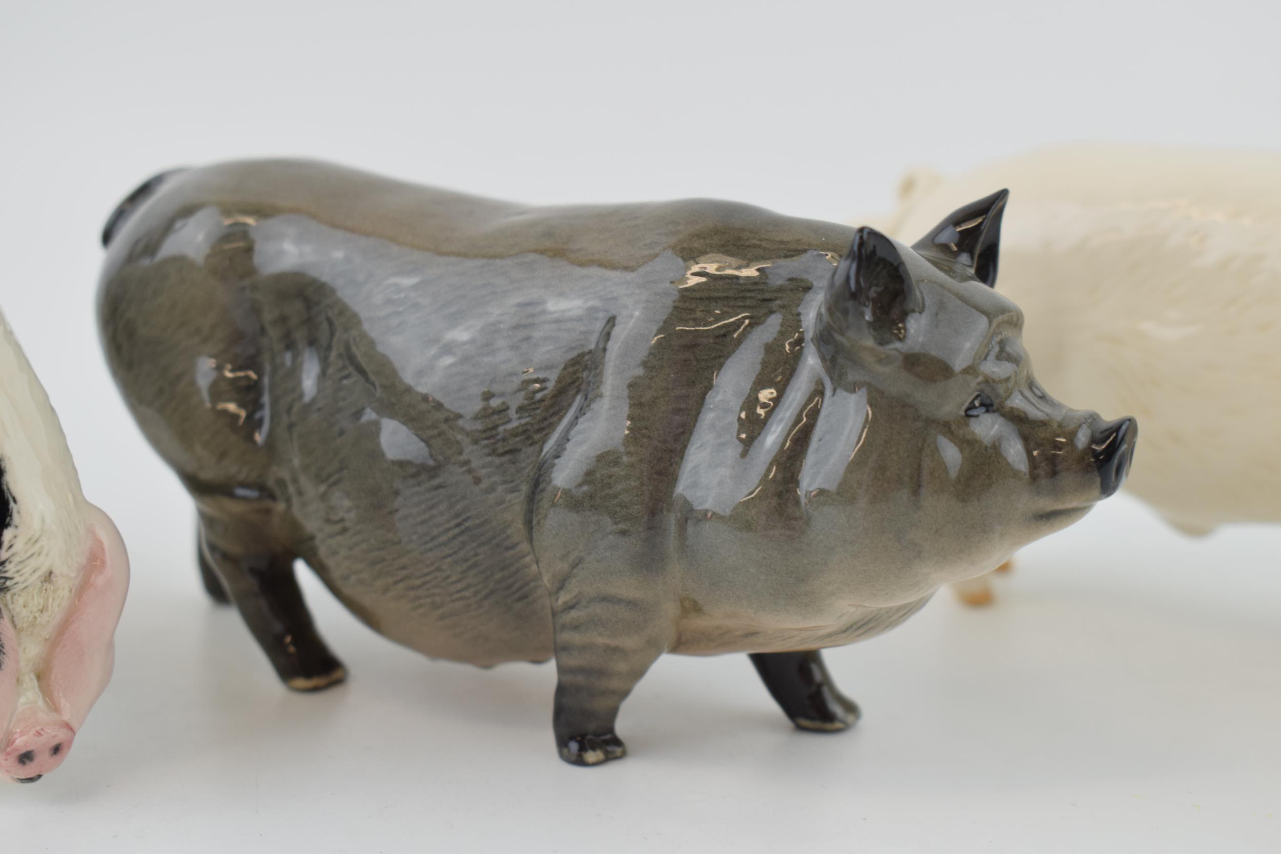 A trio of Royal Doulton pigs to include the Vietnamese Pot Bellied pig, a White Boar and a - Image 3 of 4