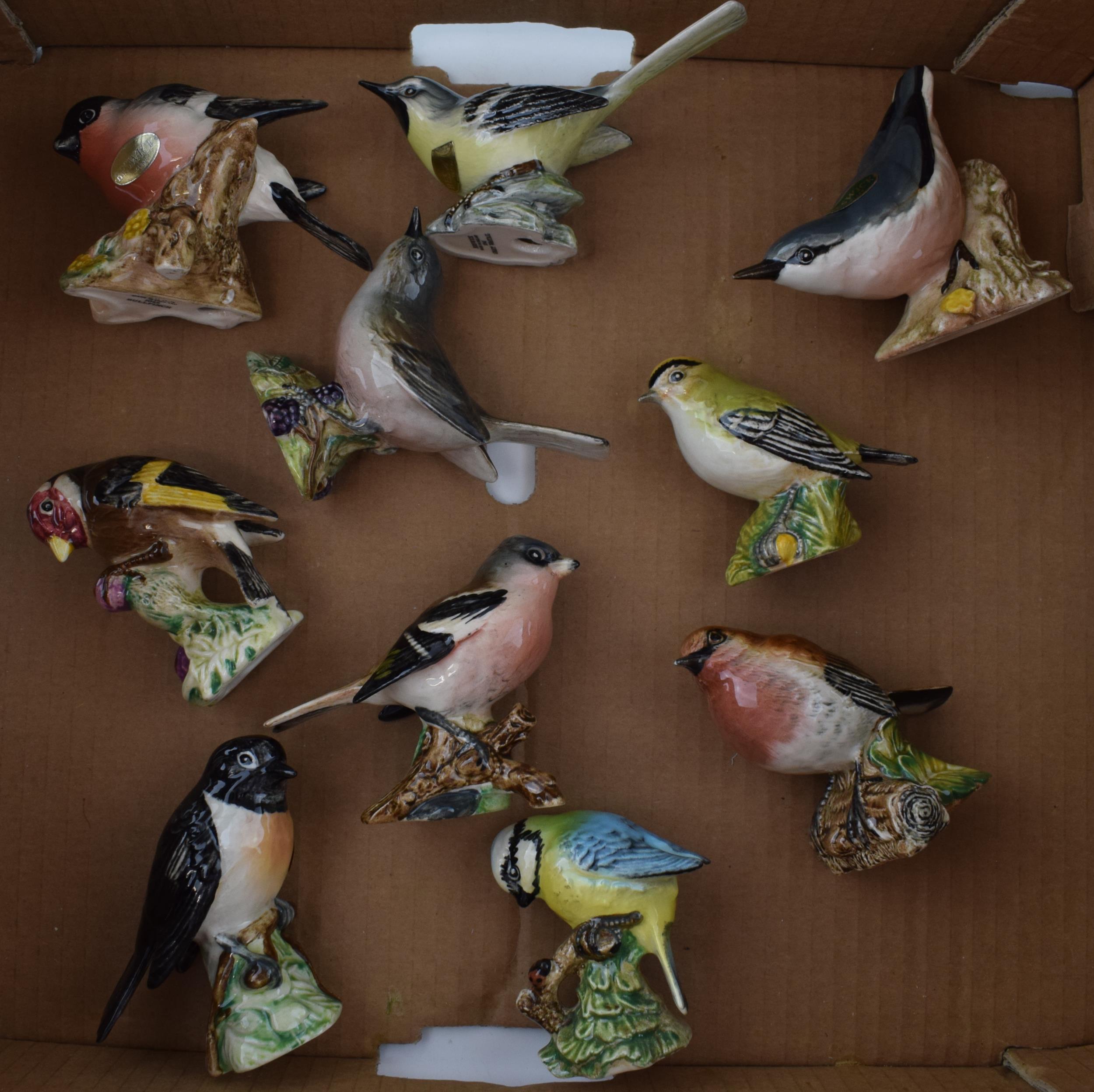 Beswick Birds to include a Nuthatch, a Goldcrest, a Robin and others (10). In good condition with no
